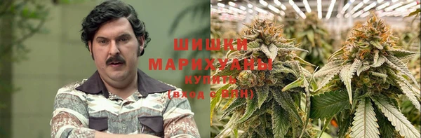 стафф Краснотурьинск