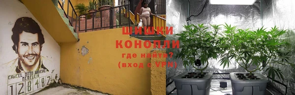 гидра Красноперекопск
