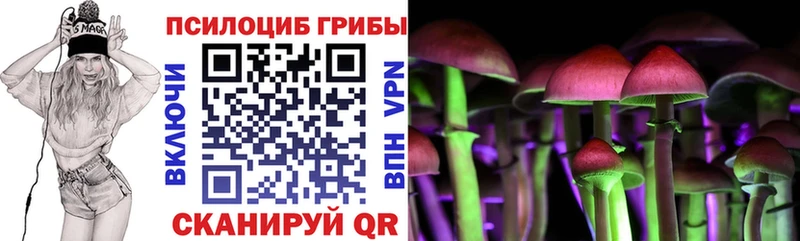 Псилоцибиновые грибы Psilocybine cubensis  Невьянск 
